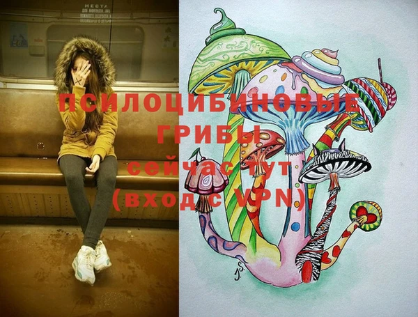 спайс Алексеевка